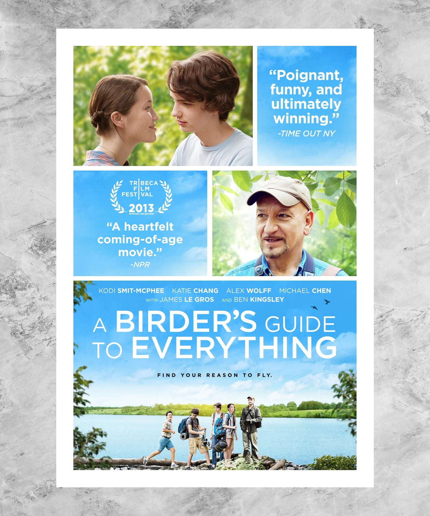 A Birder's Guide to Everything Poster