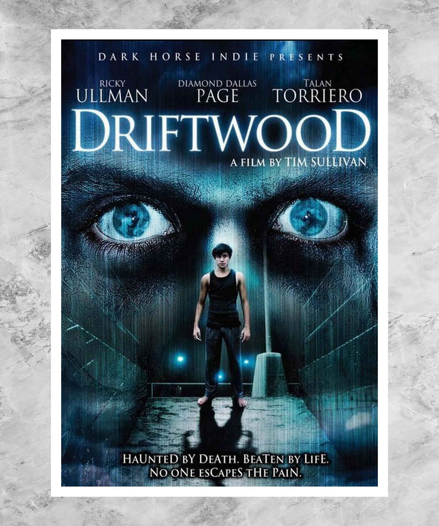 Driftwood Poster