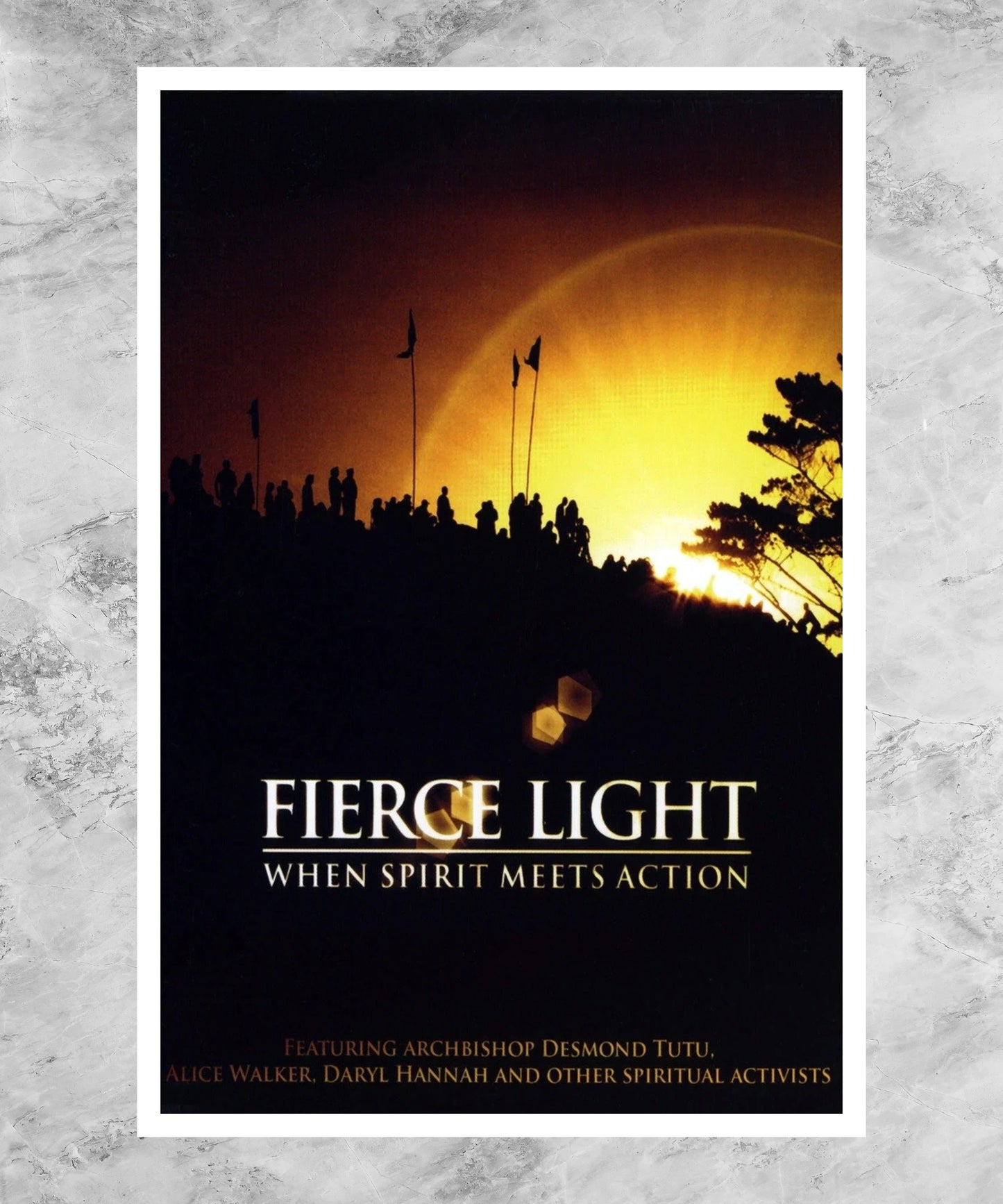 Fierce Light: When Spirit Meets Action Poster
