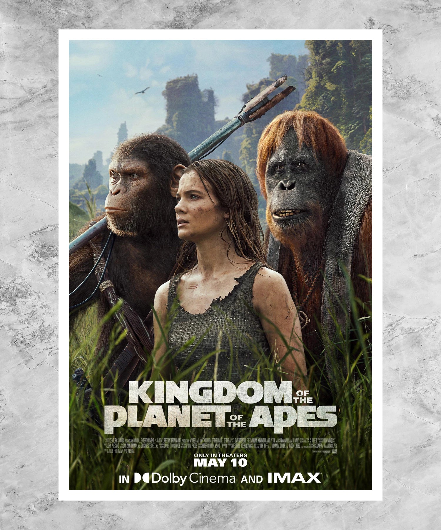 Kingdom of the Planet of the Apes Poster