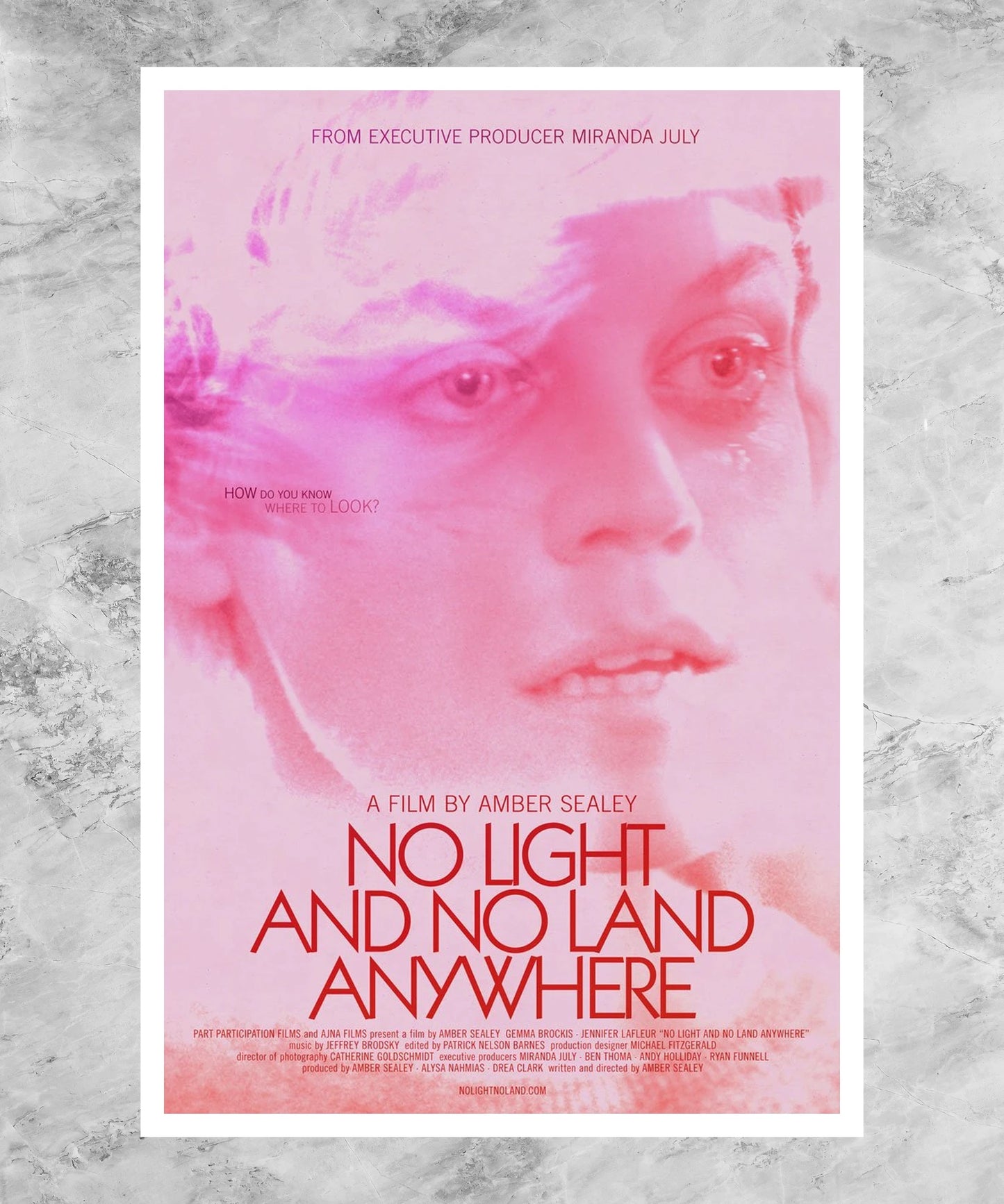 No Light and No Land Anywhere Poster